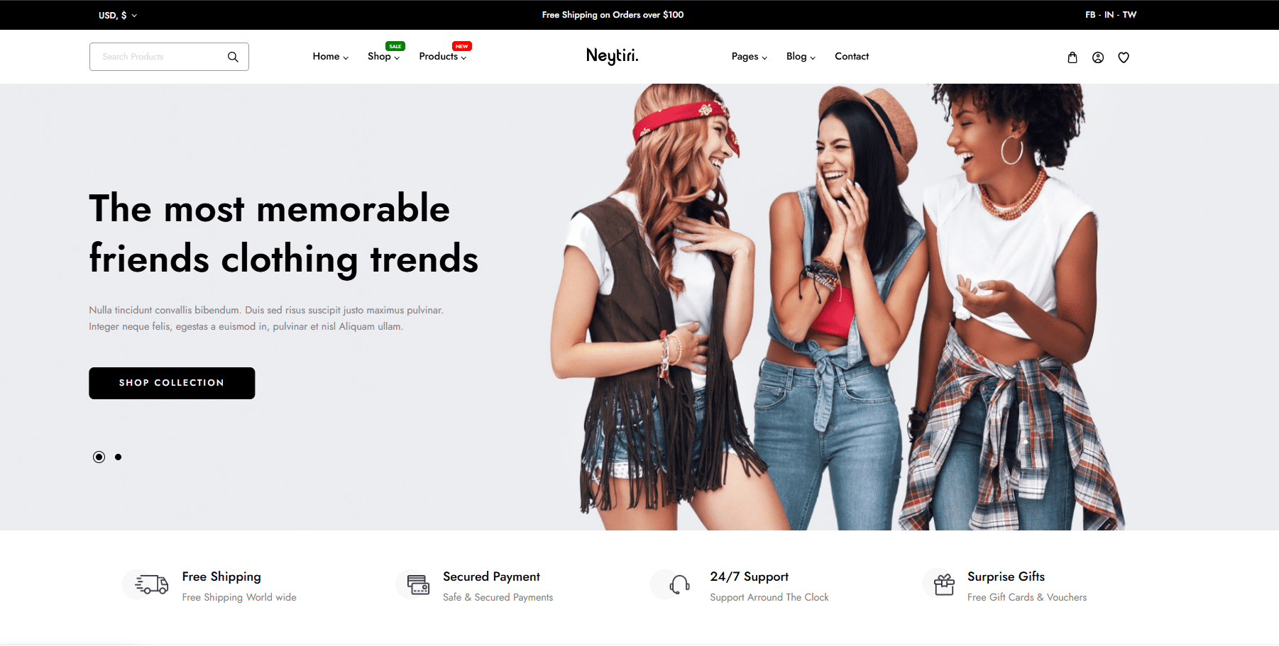 Ecommerce Web development